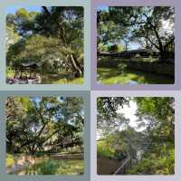 【香港必去】芬芳鳥語，紅鶴翩翩九龍公園 🕊️
