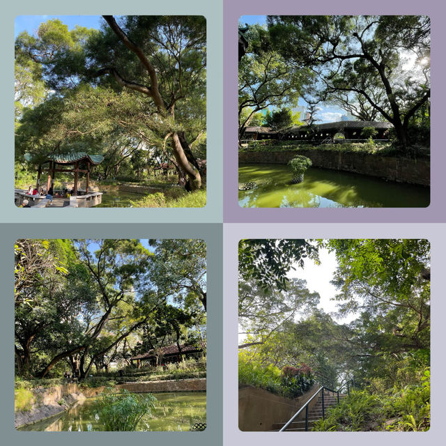 【香港必去】芬芳鳥語，紅鶴翩翩九龍公園 🕊️