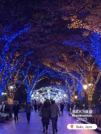 Midosuji Illumination 2023 งานประดับไฟกลางโอซาก้า