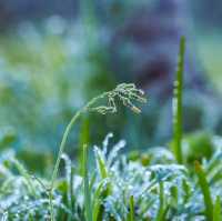 หนาวนี้ที่เขียงใหม่ หนาวสะใจที่ดอยอ่างขาง