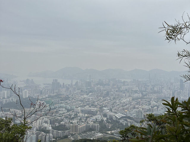 天陰陰的畢架山🌫️🌫️