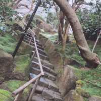 〜鎌倉散策〜報国寺🎍