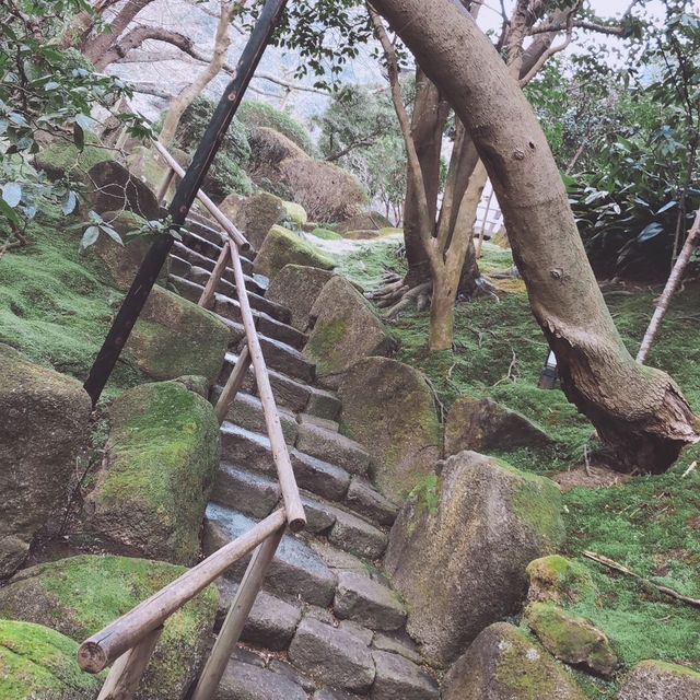 〜鎌倉散策〜報国寺🎍