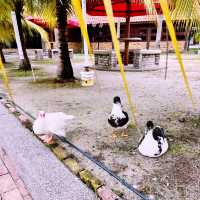Water Chalet By Tasik Villa