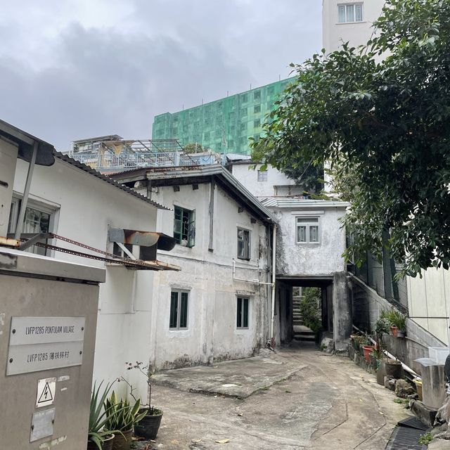 自家農田，香港僅餘的臨時房屋區
