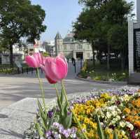 【福岡】貴賓館前はお花に包まれていました