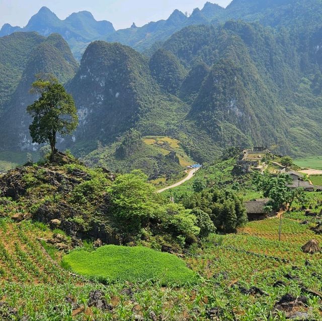 Ha Giang Vietnam Motorbiking Loop 