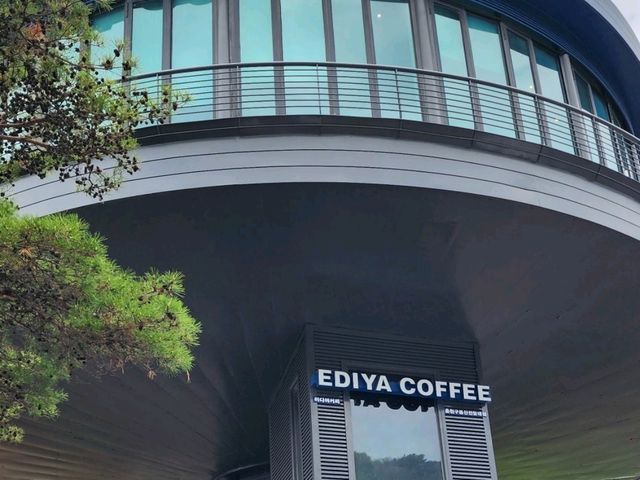춘천시내를 다 볼 수 있는 전망대 커피숍.. 전용 엘레베이터를 갖춘 이디야 "EDIYA"