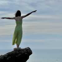 A symbol of freedom