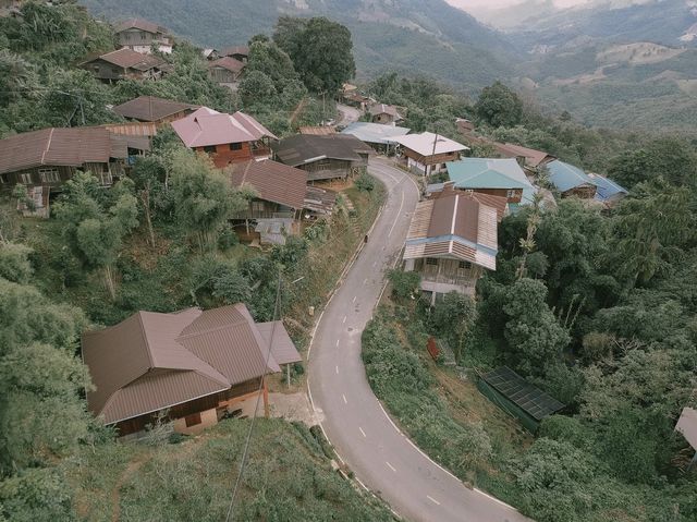 อุ่นไอใบเมี่ยง Oun I Baimiang สกาด อ.ปัว