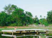 Chong Mafueng Camping  -ช่องมะเฟือง แคมป์ปิ้ง