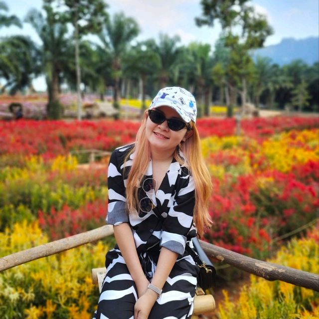 สวนดอกไม้ สุด ว้าว จ.กระบี่