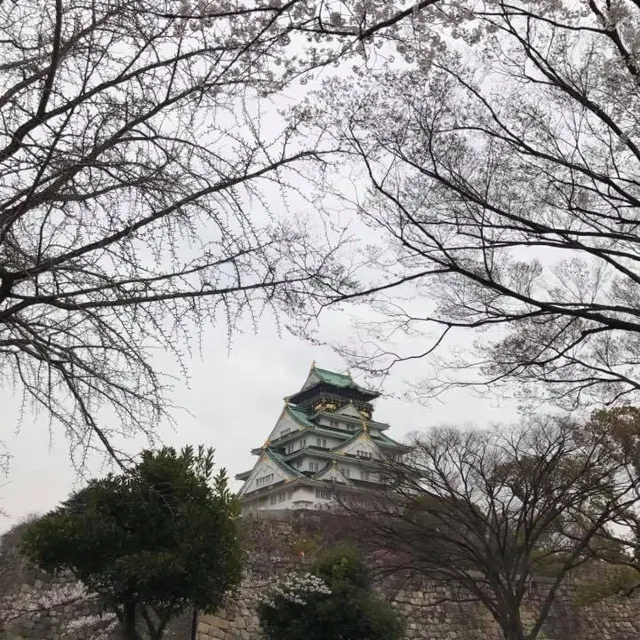 오사카성 공원은 약