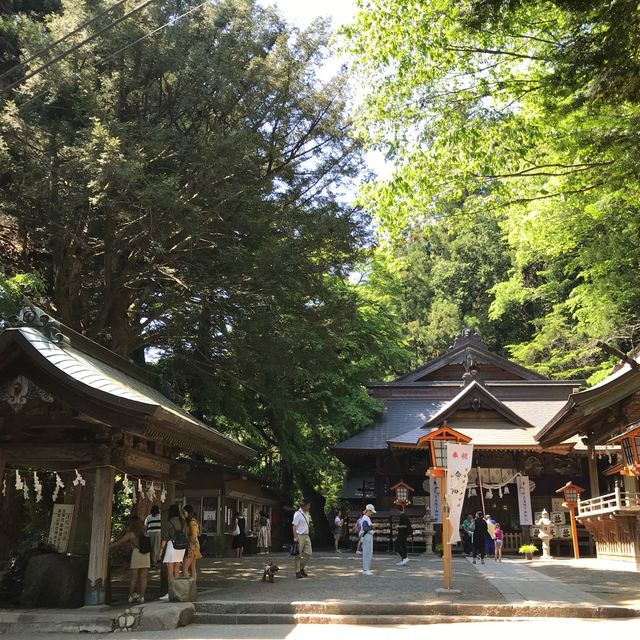 日本最美富士山景點，新倉山淺間公園