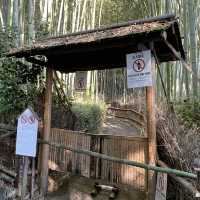 嵐山竹林の小径（ちくりんのこみち）京都の人気観光スポット