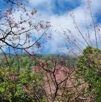 น้ำตกวชิรธาร - อุทยานแห่งชาติดอยอินทนนท์