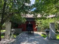 植物園裡的古寺—臥佛寺