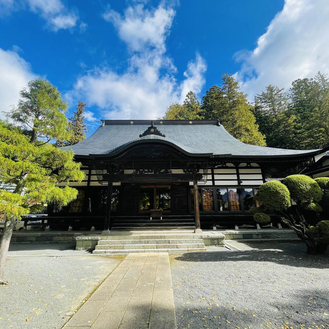 【長野県/高さ40mの夫婦銀杏が美しく紅葉を始めた佛法紹隆寺】