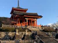 ขอพรเทพจิ้งจอก ที่ศาลเจ้าฟูชิมิอินาริ ⛩️