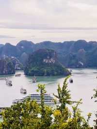 Explore Halong Bay With Cozy Bay Cruise 🌊