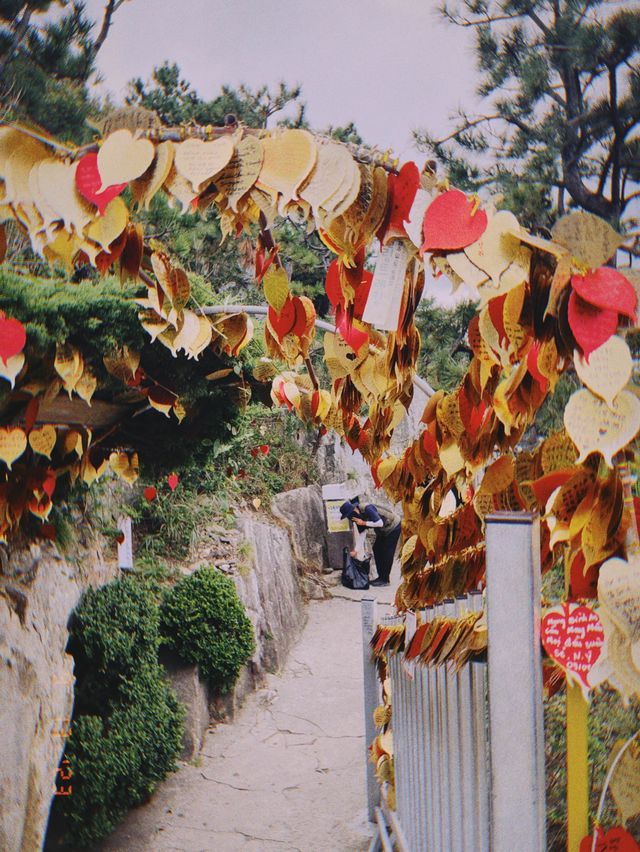 🇰🇷釜山海東龍宮寺👣佇立在海邊的海東龍宮寺發起投錢幣挑戰！