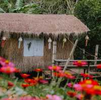 Sapan See View ที่พักบ้านสะปัน อ.บ่อเกลือ จ.น่าน 