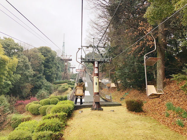🏯四國愛媛松山城：江戶歷史、花海襯古城🏯