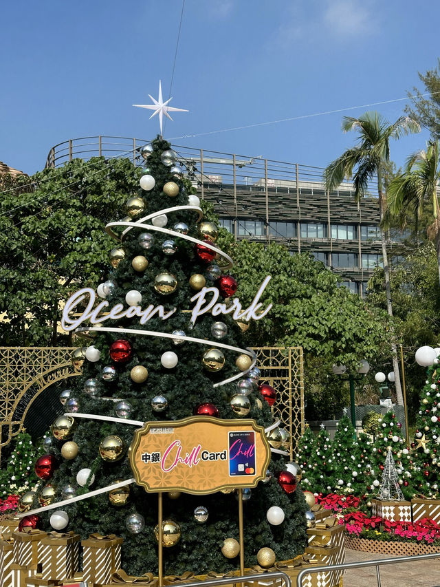 在香港海洋公園與小王子慶祝聖誕🎄🌹