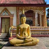 Serene Splendor: Wat That Khao