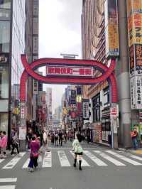 เมืองที่ไม่เคยหลับไหล Shinjuku, Tokyo