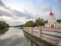 สะพานป่าชายเลน ระยอง