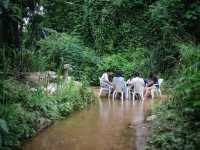 คาเฟ่ธรรมชาติ บางพระเรือ ณ ห้วยท่าไทร