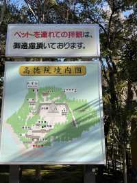 【神奈川県】鎌倉観光で外せない「高徳院・鎌倉大仏」