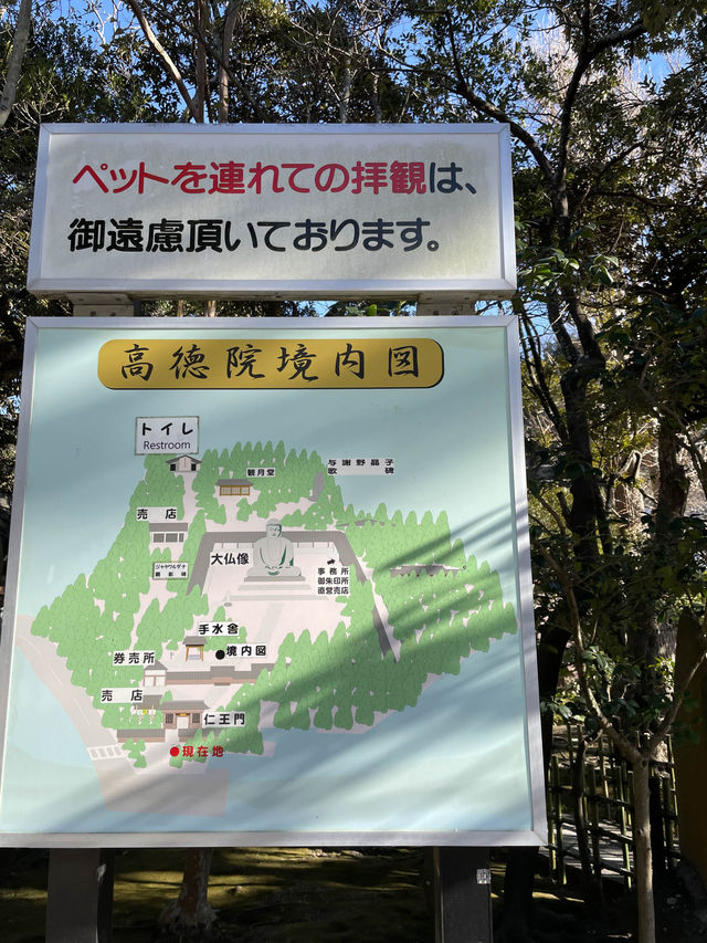 【神奈川県】鎌倉観光で外せない「高徳院・鎌倉大仏」