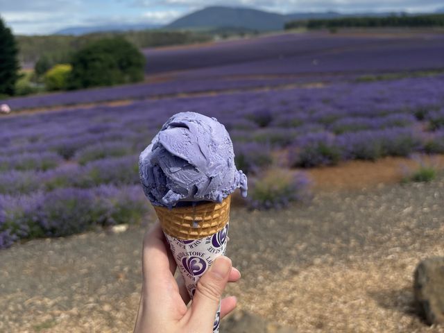 Chasing lavender fields