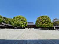 Meiji Jingu Shrine