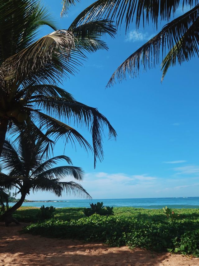 Beaches of Southern Province, Sri Lanka🌴🇱🇰