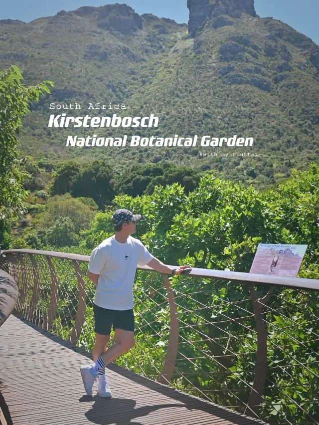 Kirstenbosch National Botanical ปลูกได้ที่เดียว
