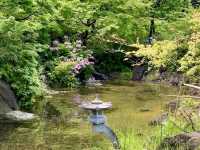 Hinokicho Park
