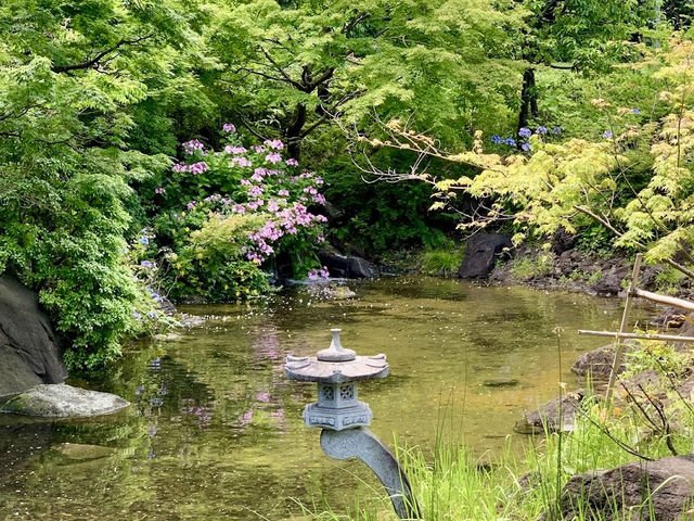 Hinokicho Park