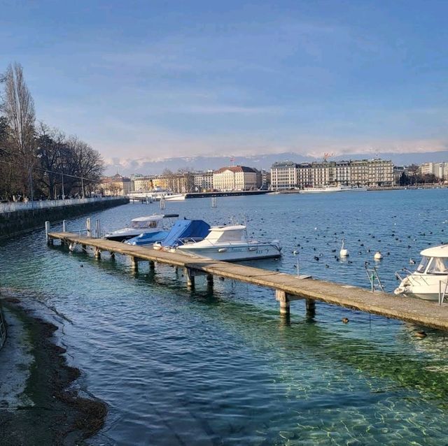 The Geneva Water Fountain