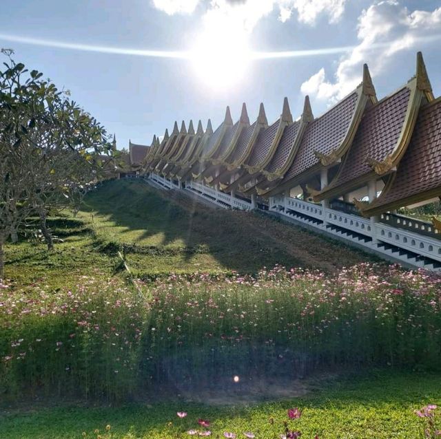 วัดบุญญาวาส วัดสวย สงบ