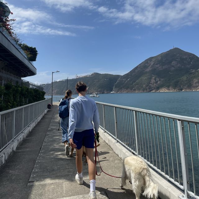 週末跑遊港島路線推介🏃🏾♀️邊跑邊食邊打卡📸 週末跑遊港島路線推介🏃🏾♀️邊跑邊食邊打卡📸