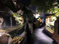 Chitose Salmon Aquarium 