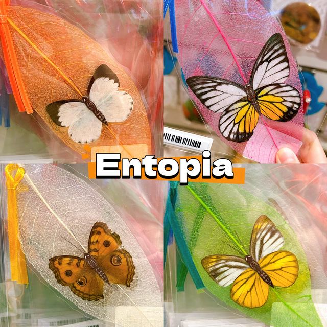 Entopia Merchandises and Refreshments 
