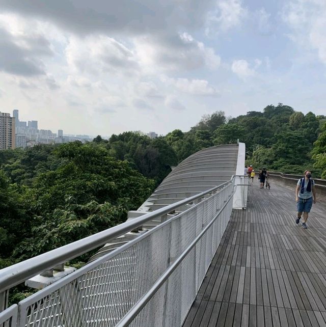 Mount Faber 