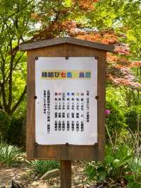 【栃木】足利織姫神社で七つの良い縁をゲットしよう