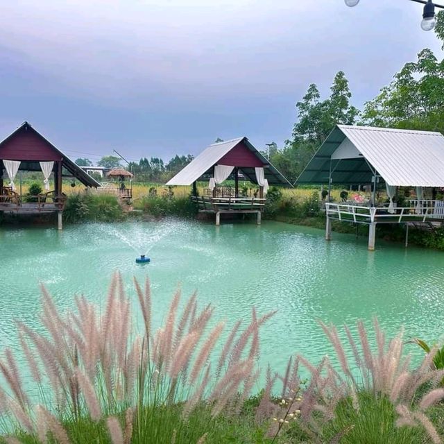 นานากลางทุ่ง @บ้านน้ำก่ำ