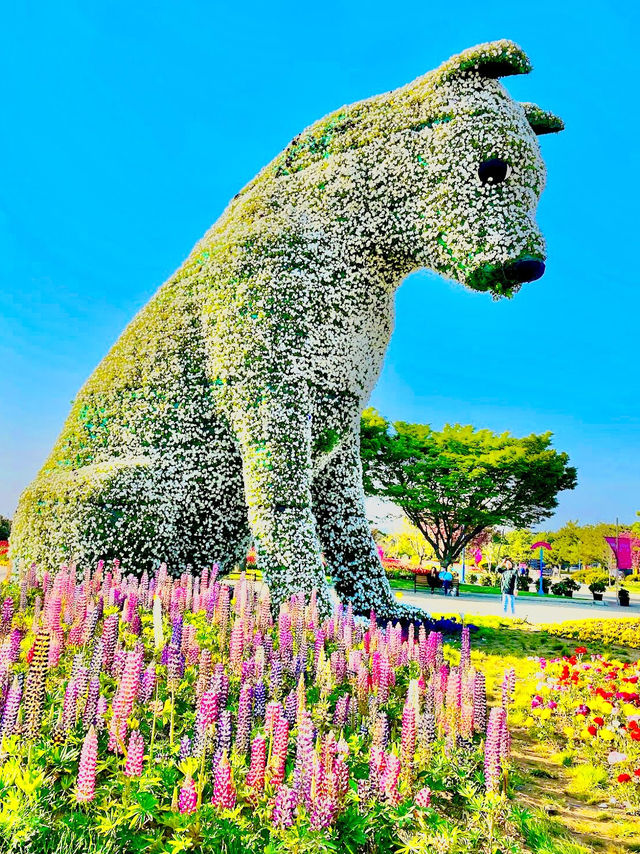 Taean Tulip Festival 