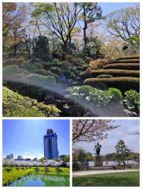 「櫻花2024」靜岡市駿府城公園：歷史遺跡，自然景觀，適合漫步賞櫻